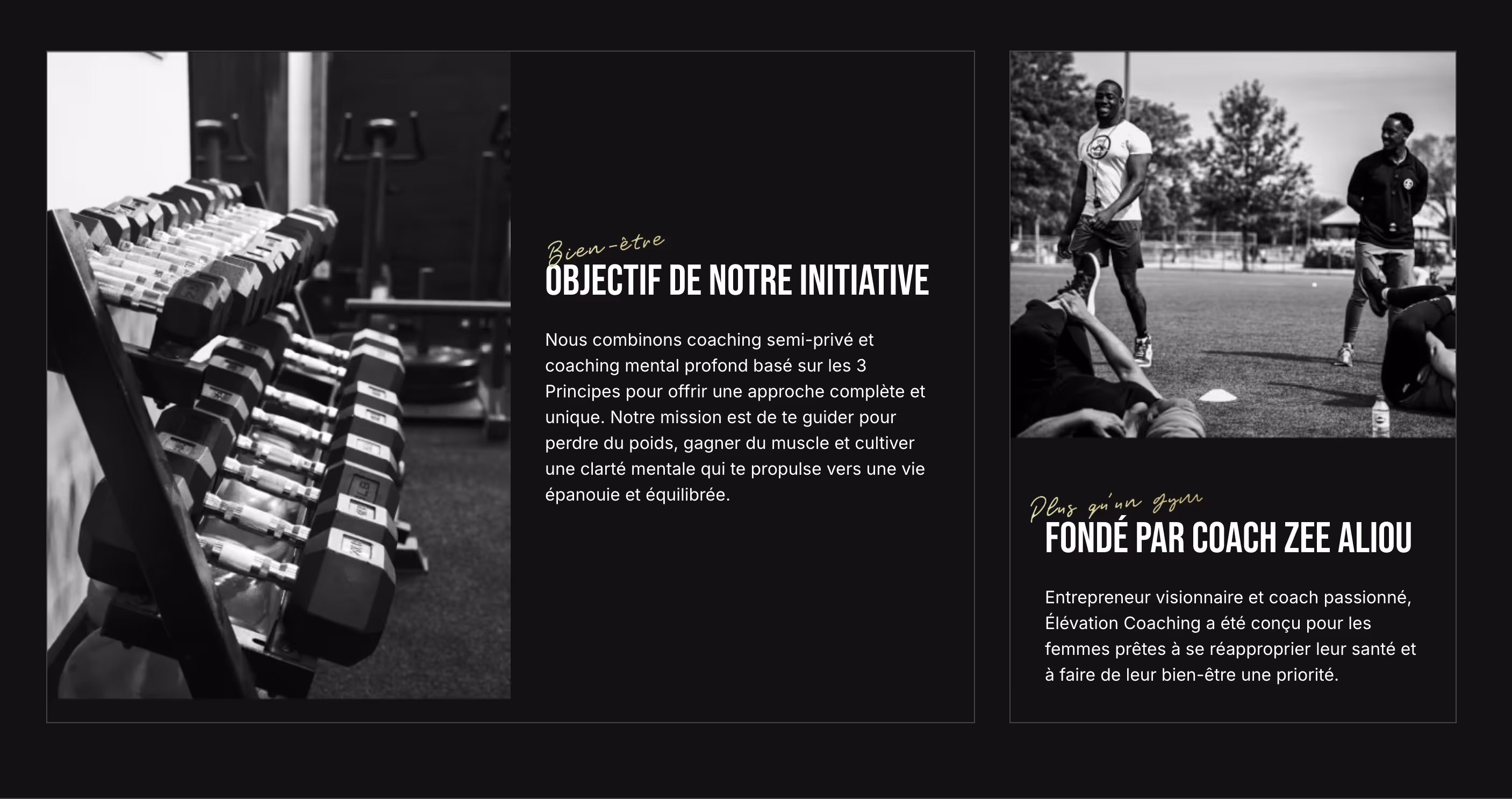 Elevation Gym | Kazi Sabbir Anwar Webflow Developer